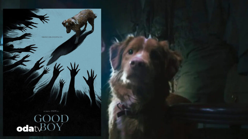 good boy filminin fragmani hayvanseverleri ayaklandirdi xOclHWwv