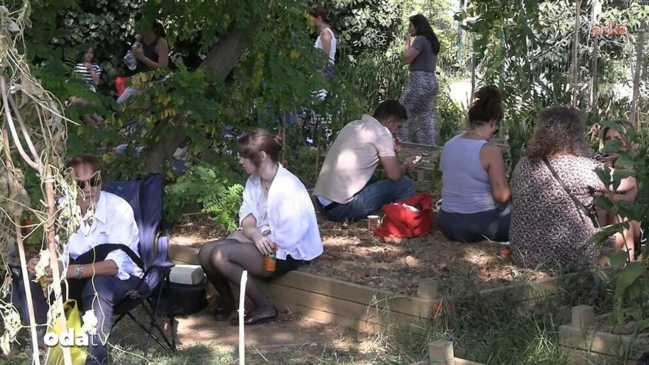 caferagada son yesil alan tepkisi buyuyor 8q1J2TXy