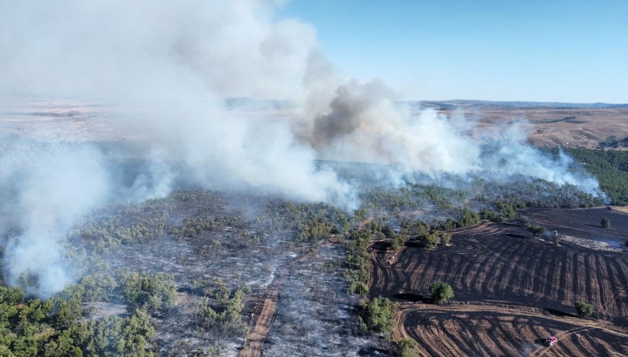 corumda arazi yangini ormanlik alana sicradi yBNK5q7h