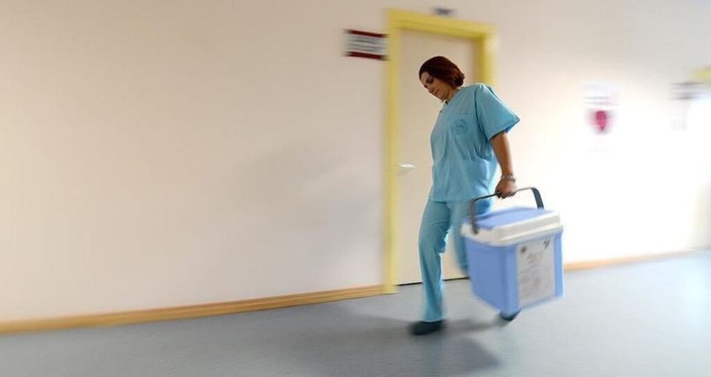 saglik bakanligindan yeni duzenleme organ bagisi aden zye degisti Dlv3VTNT