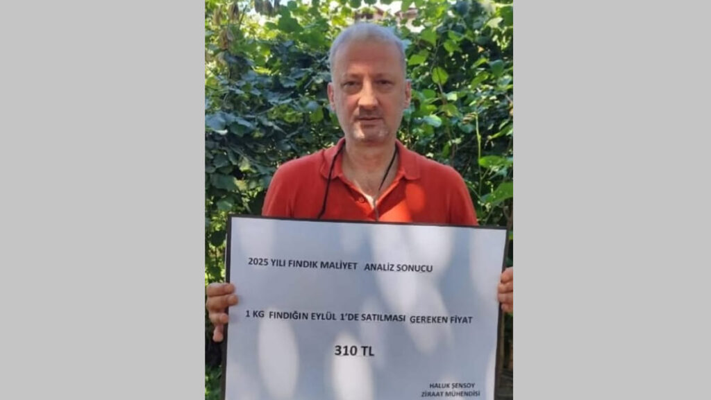 ziraat muhendisi haluk sensoy findik bu yil kiraz gibi az ve degerli GQi4Il2B