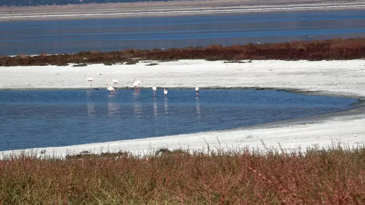 burdur golunde buyuk kuculme GOSUDdxF.jpg