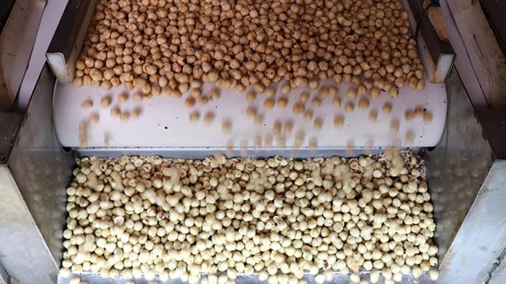 findik ihracatindan 16 milyar dolari askin gelir saglandi MMMxRUz6.jpg