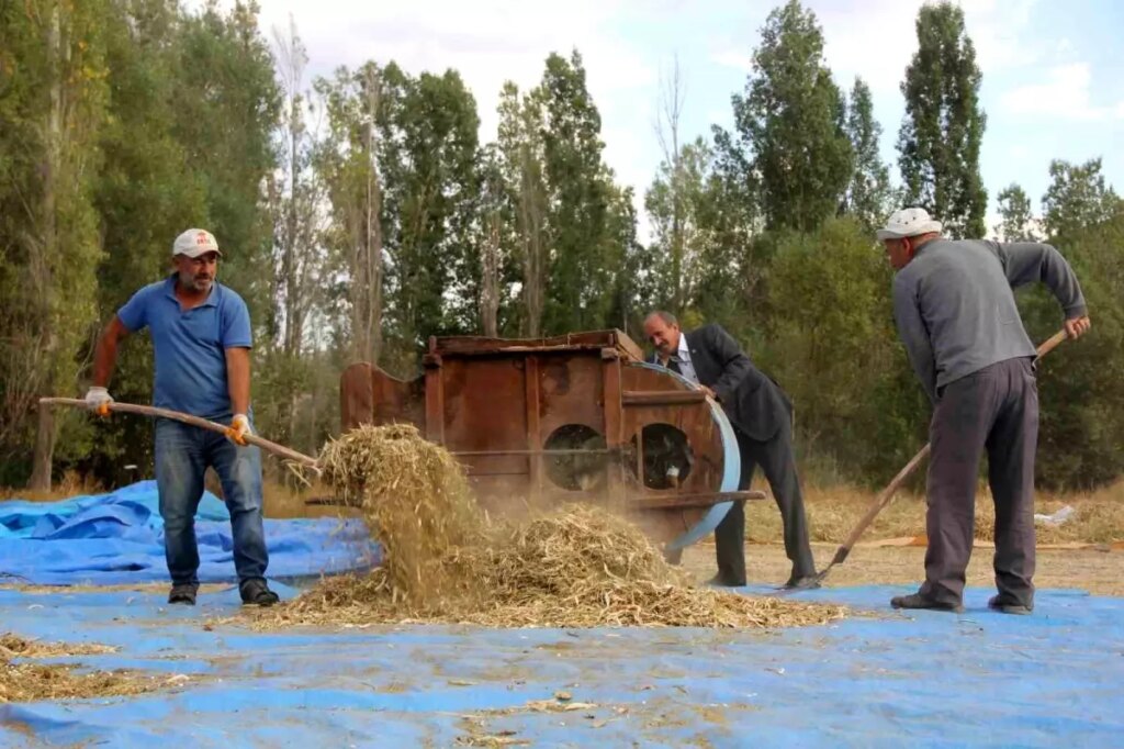 geleneksel yontemlerle kuru fasulye uretiyor OVSIkZGT