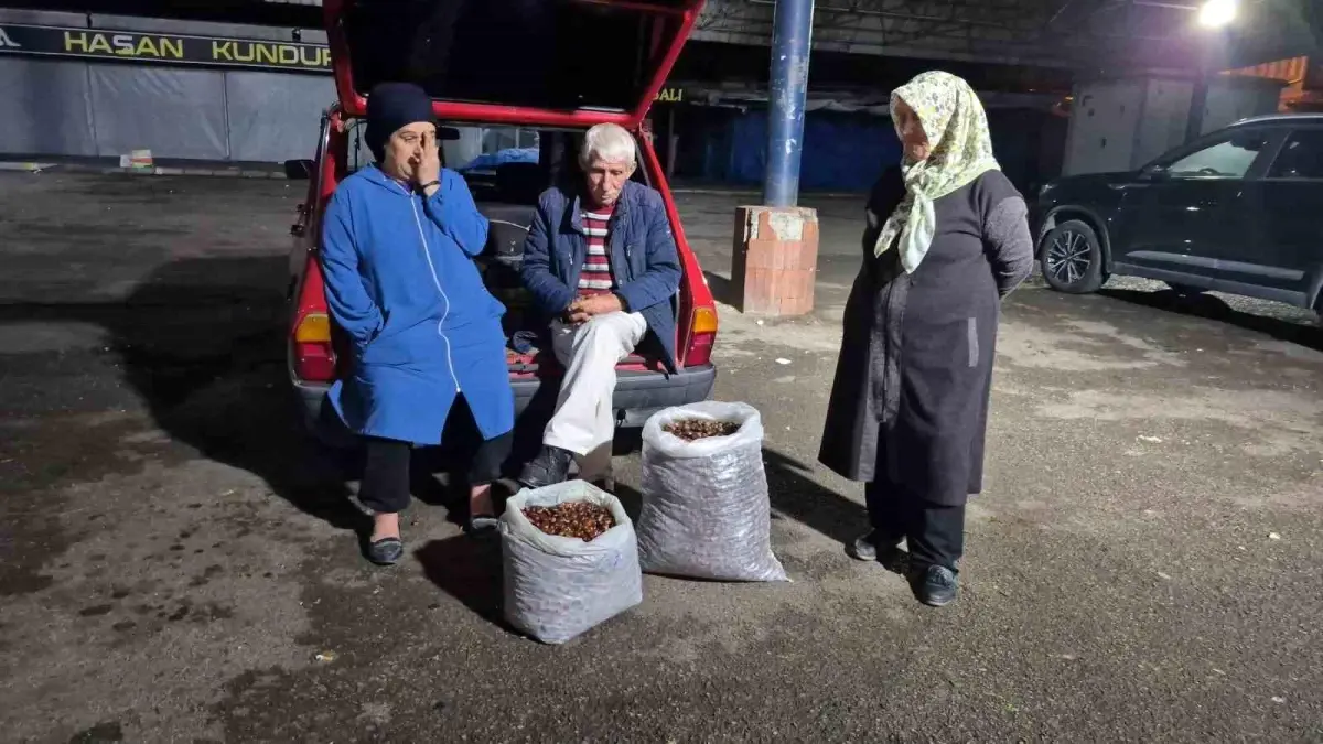 kuraklik kestane rekoltesini vurdu fiyatlar yukseliyor tb5QDYsr.jpg