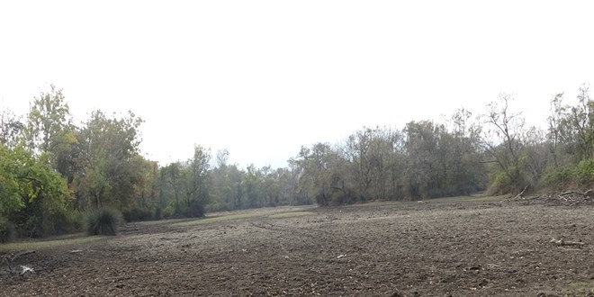 turkiyenin 3uncu buyuk longozu da kurudu 1Z7sjd1g.jpg