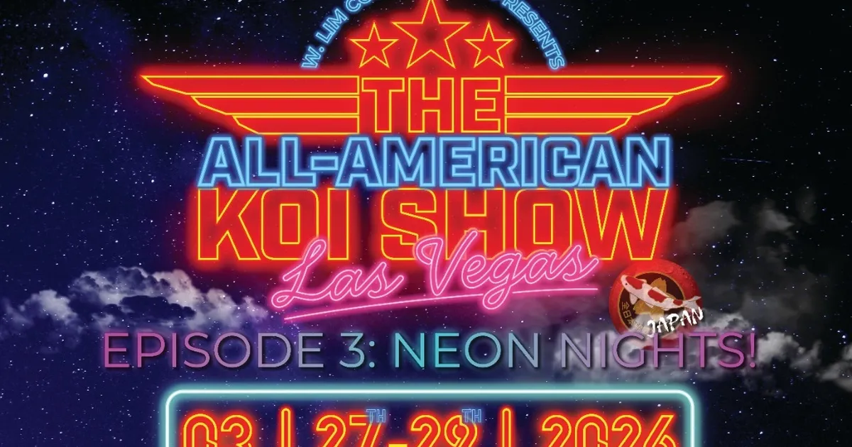 all american koi show 2026 koi dunyasinin en prestijli yarismasi las vegasa donuyor m2duvted.webp