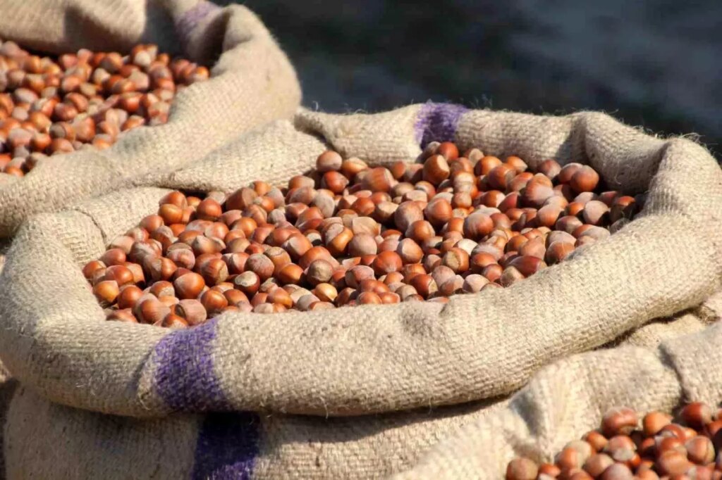 ferreronun findik manipulasyonu iddiasi x8TJmcZv.jpg