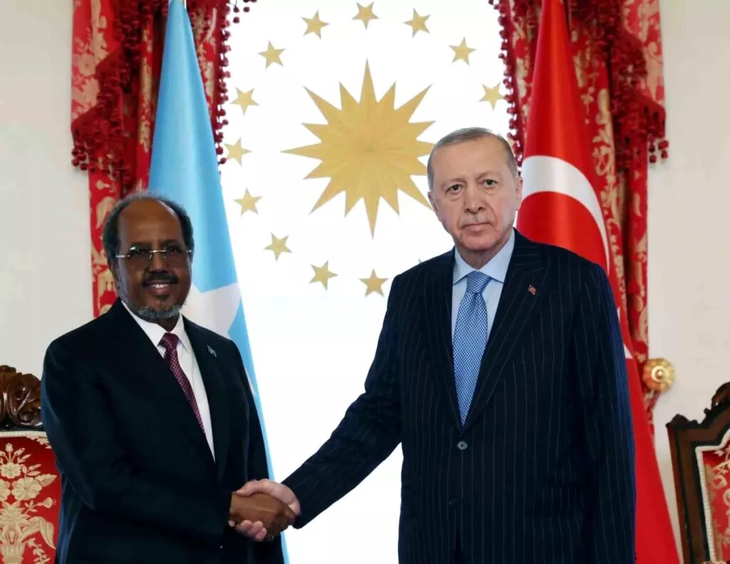 Cumhurbaşkanı Erdoğan, Somalili mevkidaşı Hasan Şeyh Mahmud’la bir araya geldi