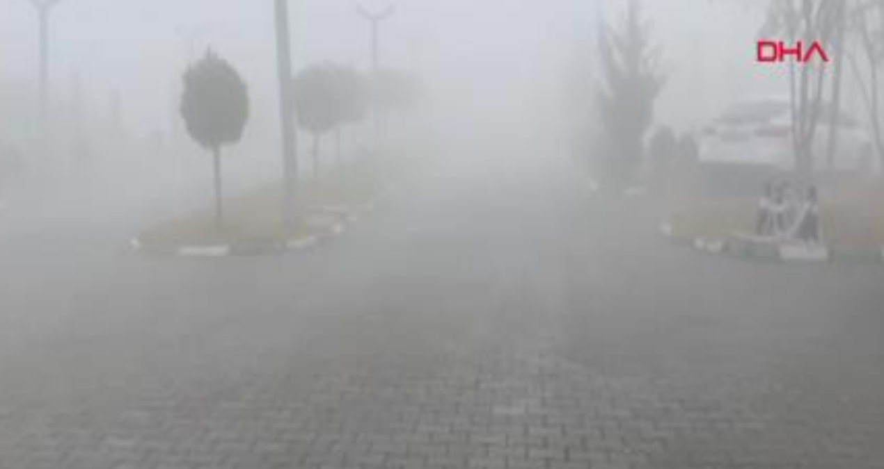 Iğdır’ı sis bürüdü: Görüş mesafesi 5 metreye düştü